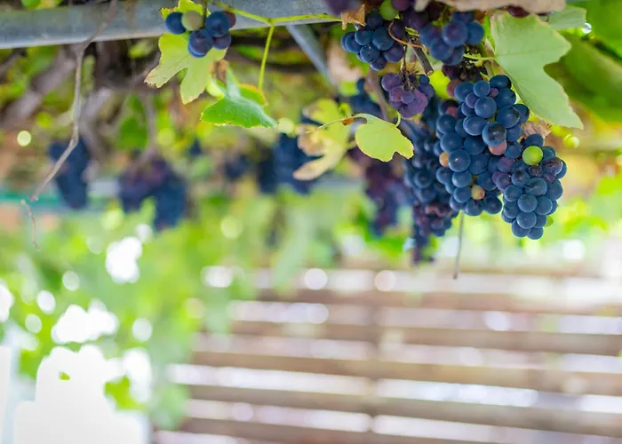 Milena Σπίτι διακοπών *